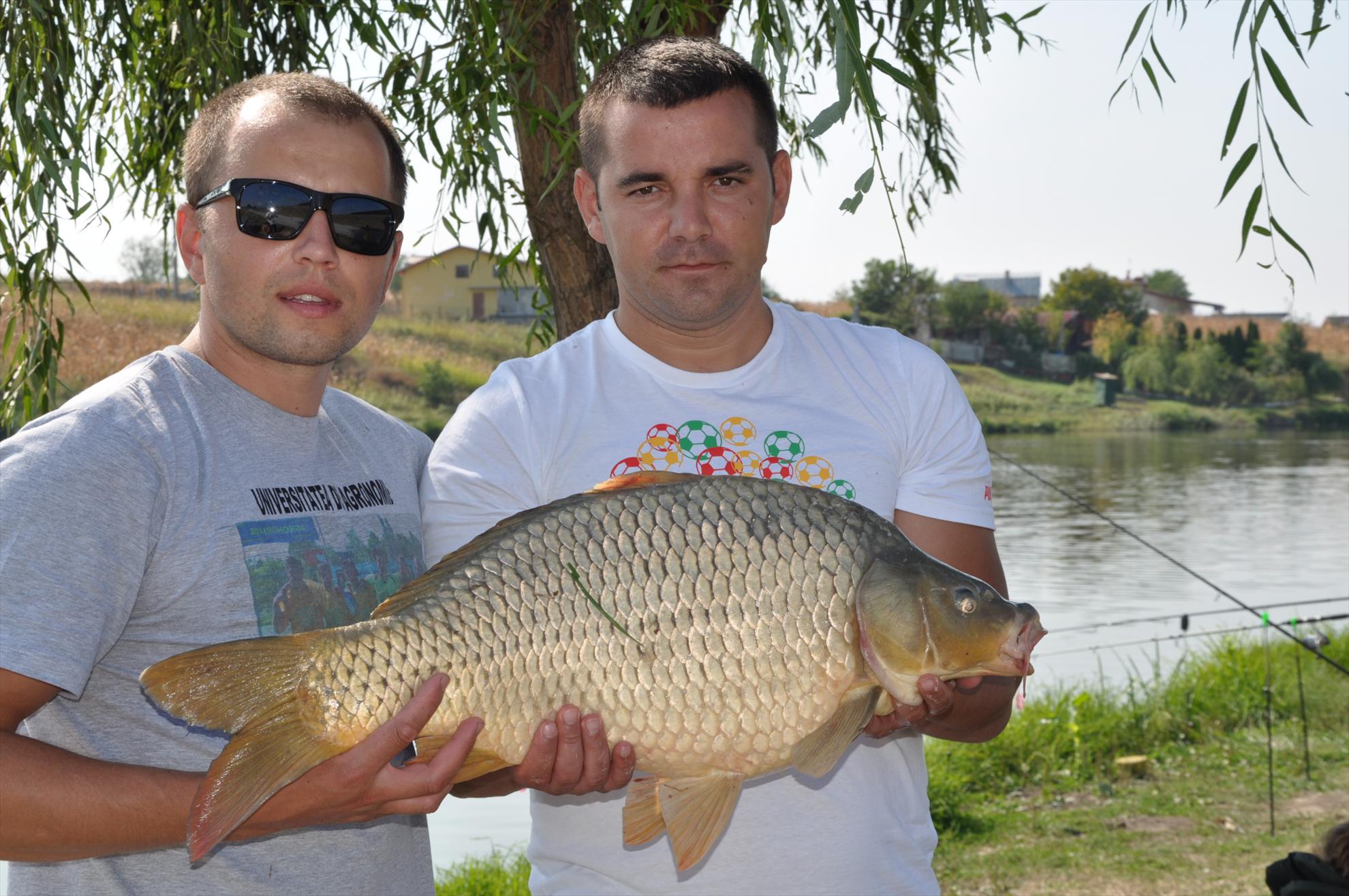 Partide 2010 - 2012 - dsc0306.JPG